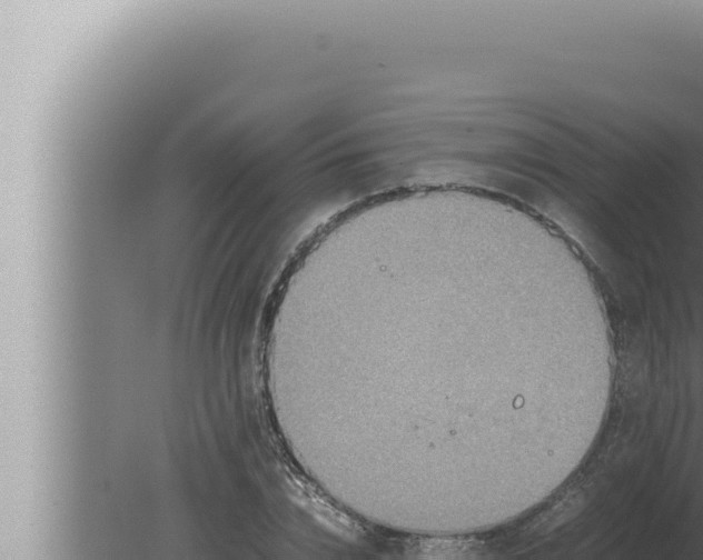 X0000080110832200612221802