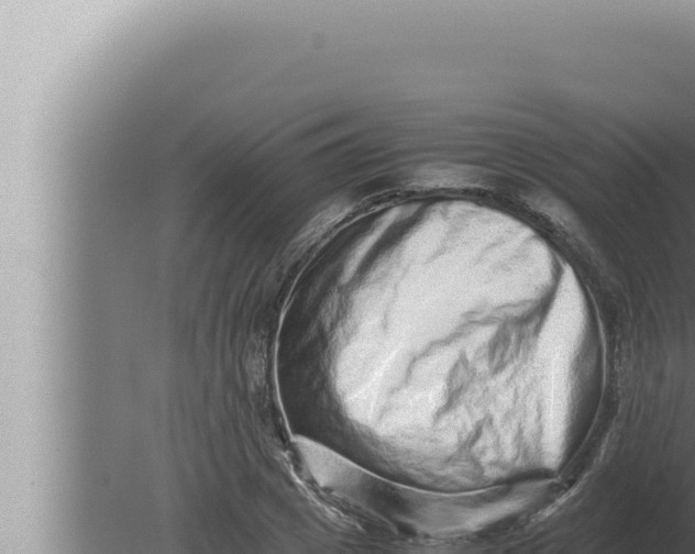 X0000080110833200612221802