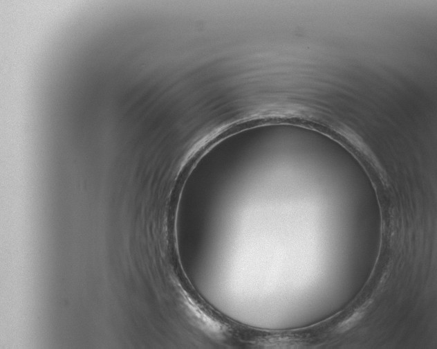 X0000080110834200612221802