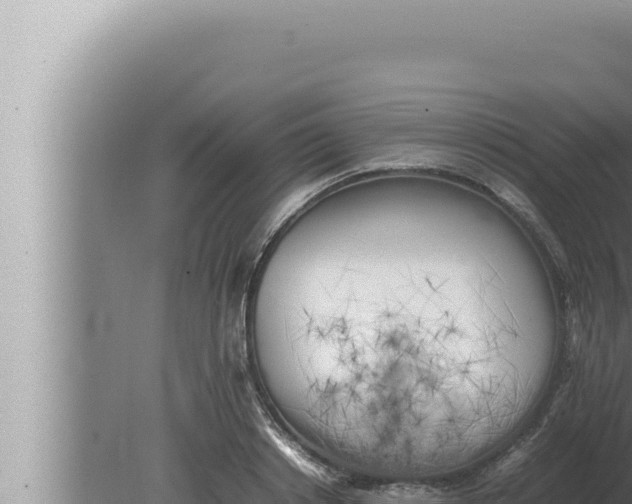 X0000080110842200612221802