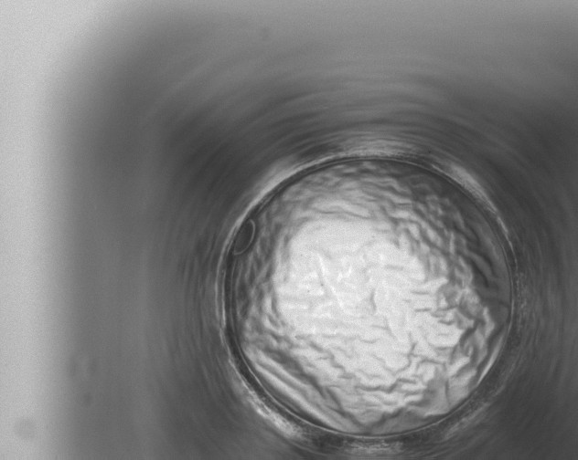 X0000080110843200612221802