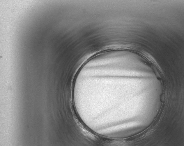 X0000080110844200612221802