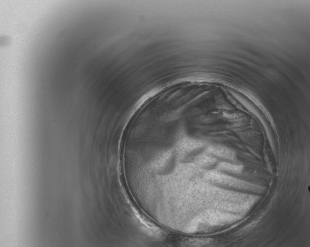 X0000080110845200612221802