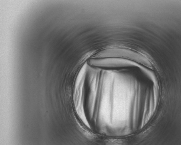 X0000080110849200612221803