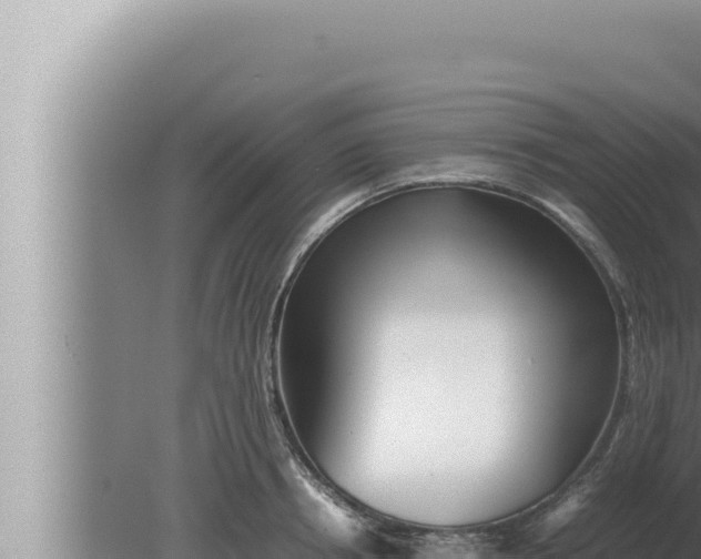 X0000080110850200612221803