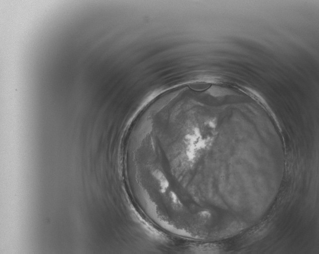 X0000080110851200612221803