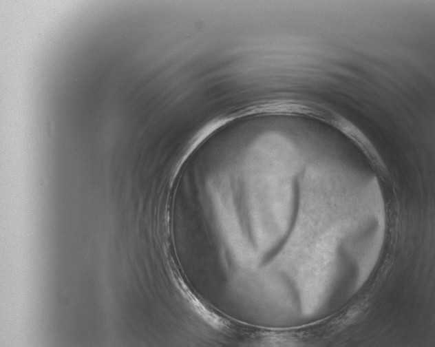 X0000080110852200612221803