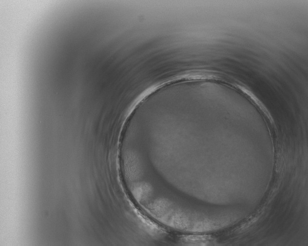 X0000080110853200612221803