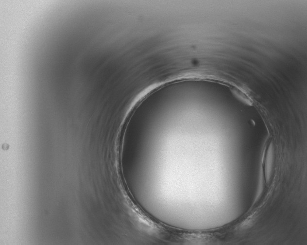 X0000080110854200612221803