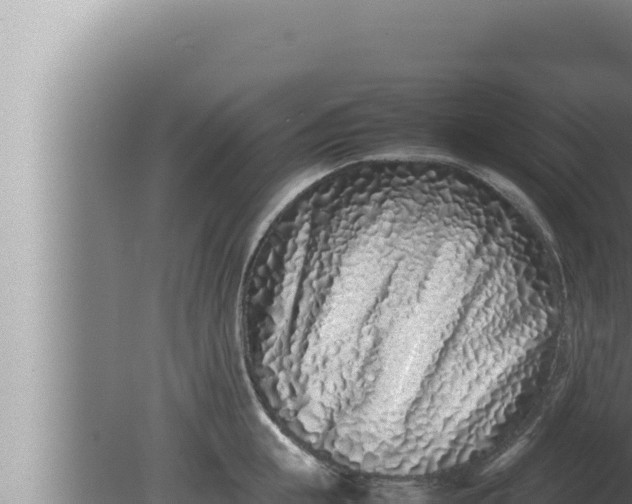 X0000080110855200612221803