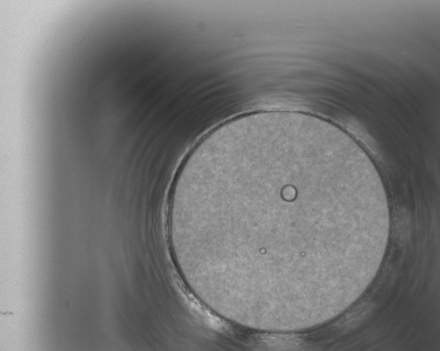 X0000080110856200612221803