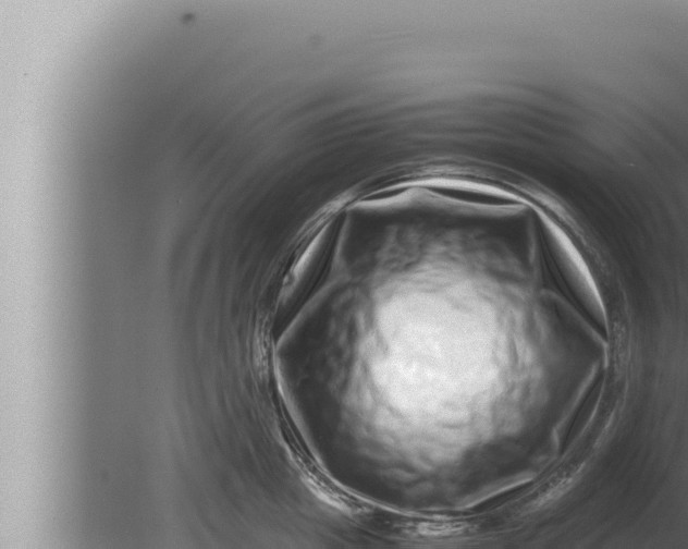 X0000080110857200612221803