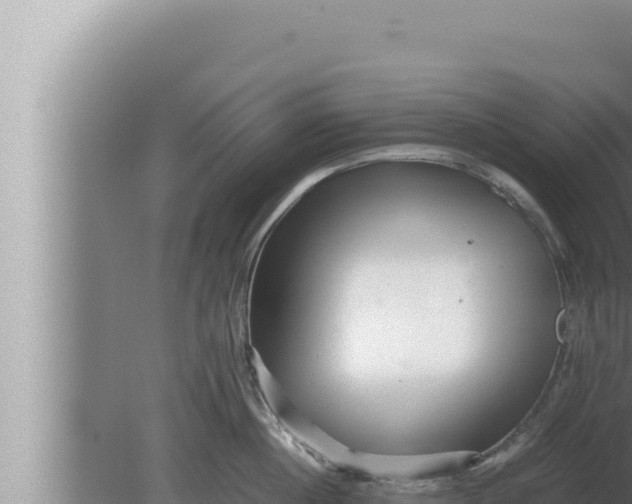 X0000080110860200612221803