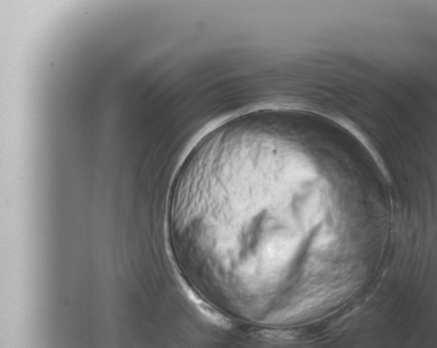 X0000080110861200612221803