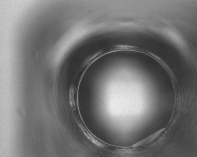 X0000080110862200612221803