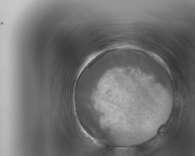 X0000080110863200612221803