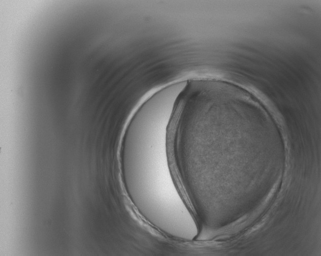 X0000080110864200612221803