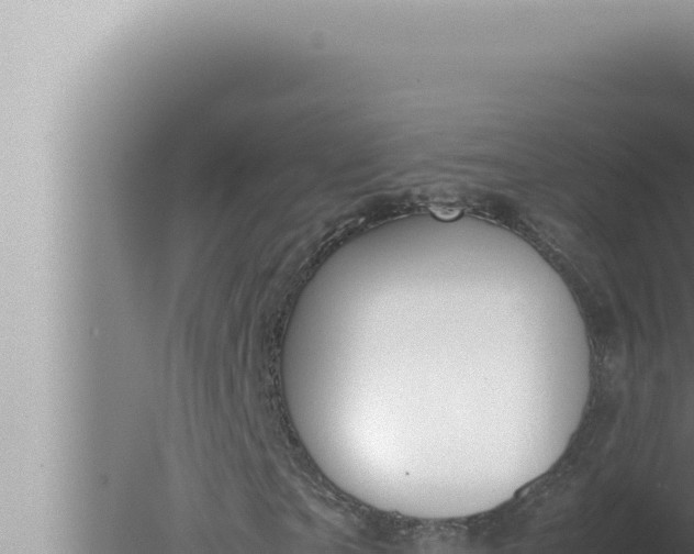 X0000080110865200612221802