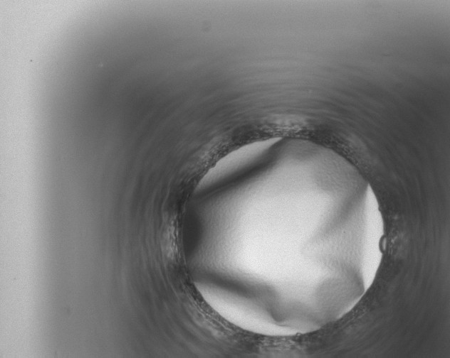 X0000080110866200612221802