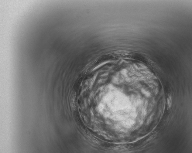 X0000080110867200612221802