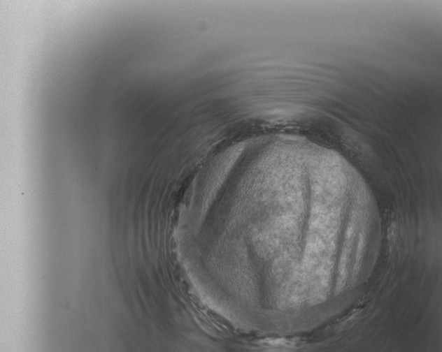 X0000080110868200612221802