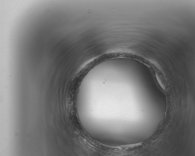 X0000080110872200612221802