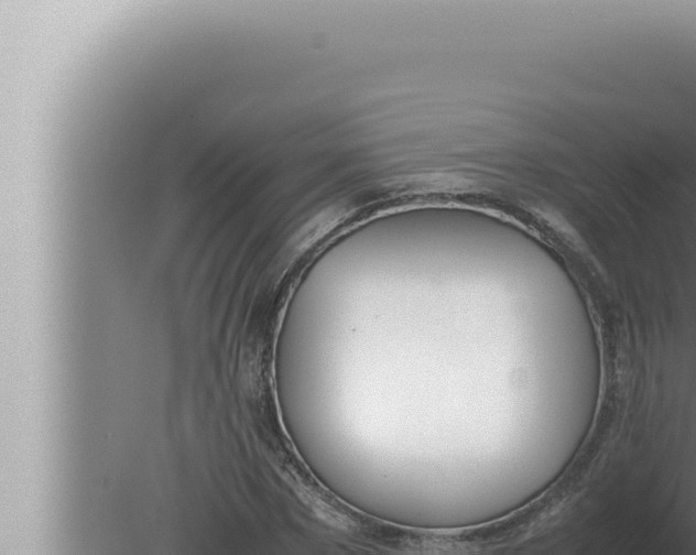 X0000080110873200612221802