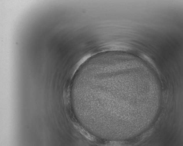 X0000080110875200612221802