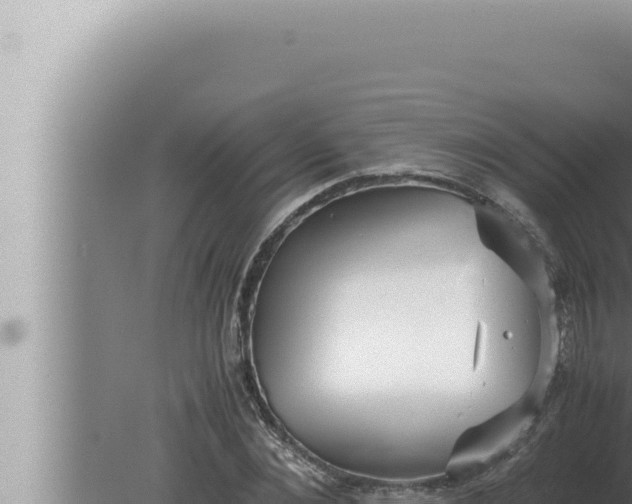 X0000080110876200612221802