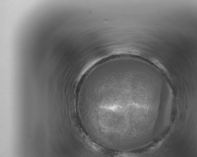 X0000080110877200612221802