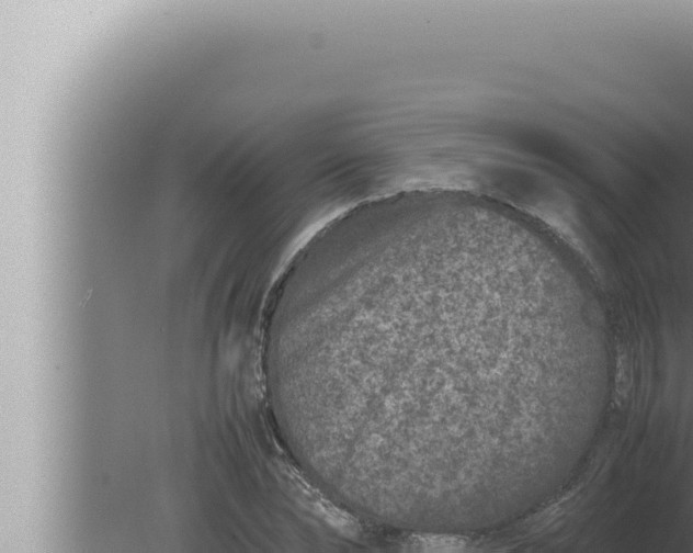 X0000080110878200612221802