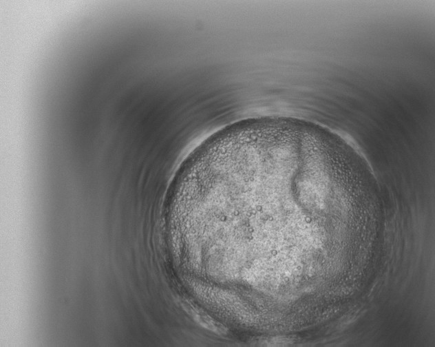 X0000080110879200612221802