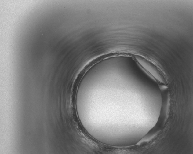 X0000080110880200612221802