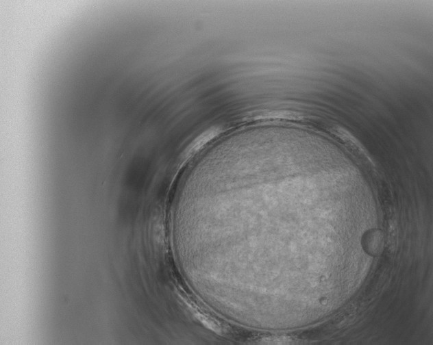 X0000080110882200612221802