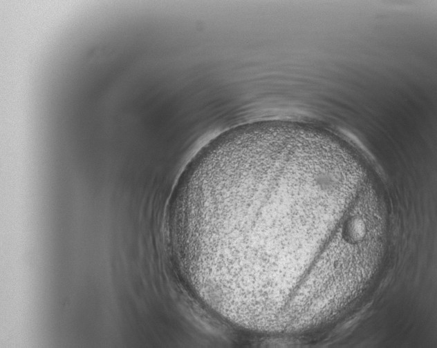 X0000080110883200612221802