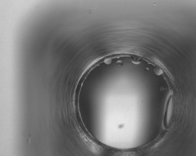 X0000080110884200612221802