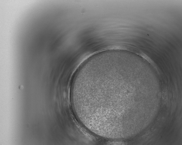 X0000080110886200612221802