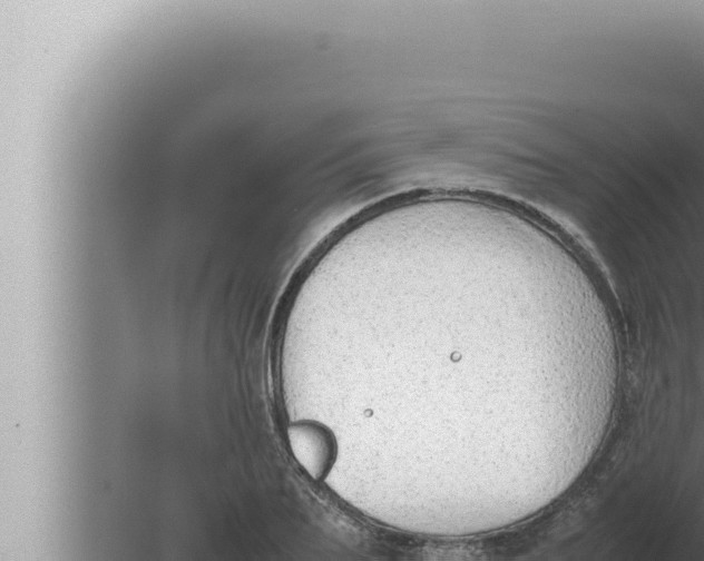 X0000080110887200612221802