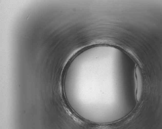 X0000080110888200612221802