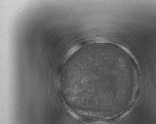 X0000080110889200612221802