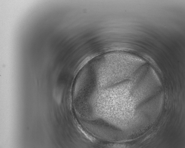 X0000080110890200612221802