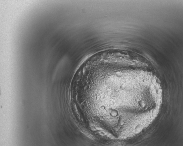 X0000080110891200612221802