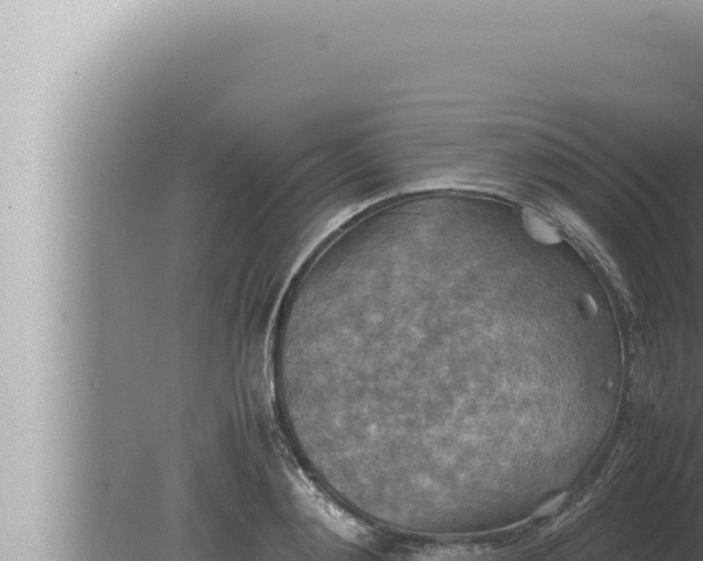 X0000080110892200612221802