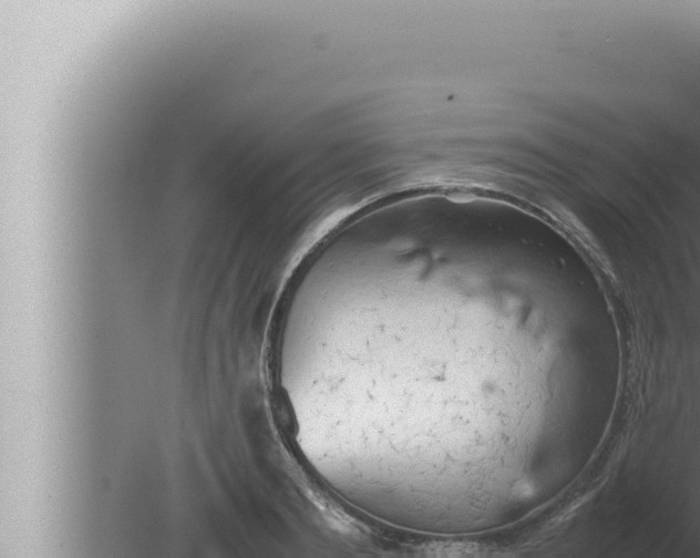 X0000080110893200612221802