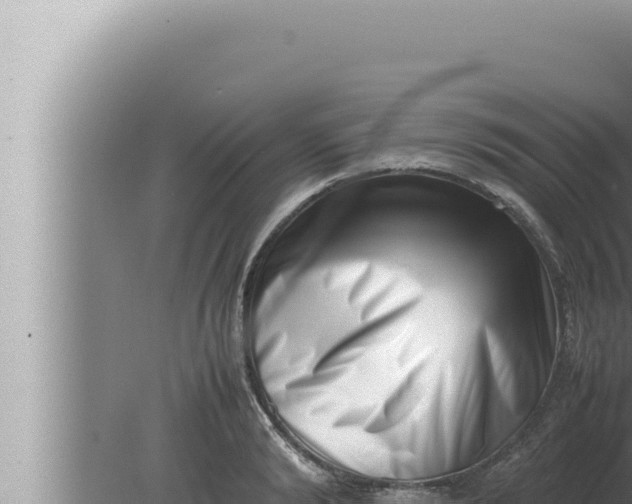 X0000080110894200612221802