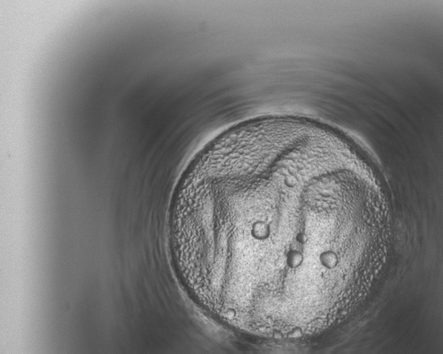 X0000080110895200612221801