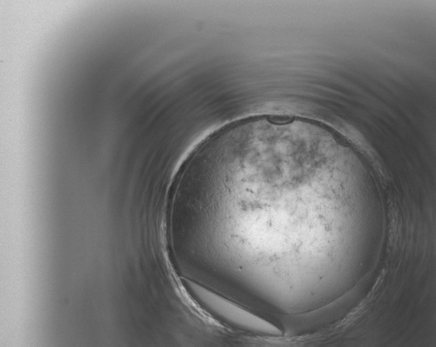 X0000080110896200612221801