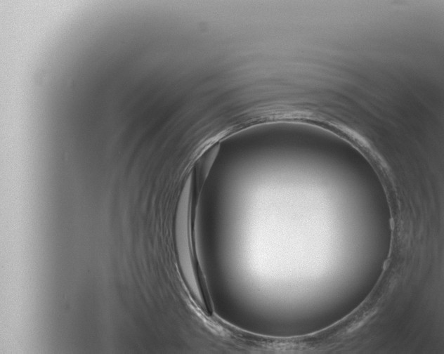 X0000080110897200612221801