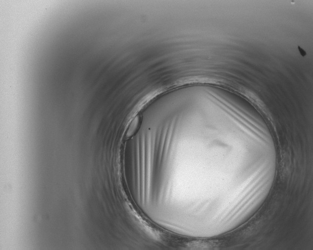 X0000080110898200612221801