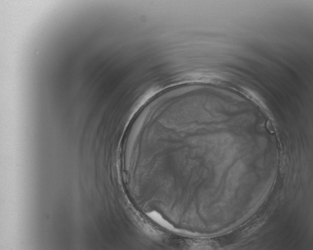 X0000080110899200612221801